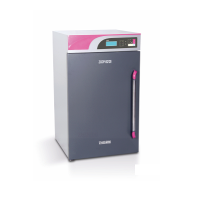 可编程温度箱 ZSDP-B2120